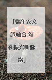 端午农文旅融合 勾勒振兴新脉络