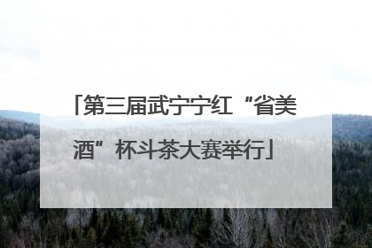 第三届武宁宁红“省美酒”杯斗茶大赛举行