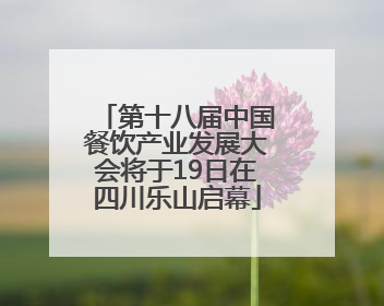第十八届中国餐饮产业发展大会将于19日在四川乐山启幕