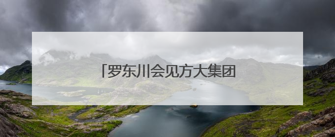 罗东川会见方大集团董事局主席方威一行