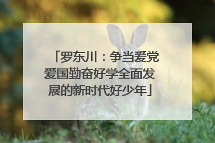 罗东川：争当爱党爱国勤奋好学全面发展的新时代好少年