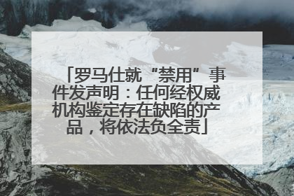 罗马仕就“禁用”事件发声明：任何经权威机构鉴定存在缺陷的产品，将依法负全责
