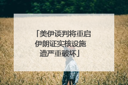 美伊谈判将重启 伊朗证实核设施遭严重破坏