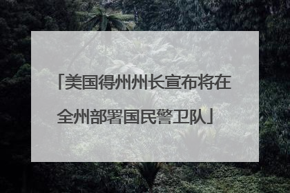 美国得州州长宣布将在全州部署国民警卫队