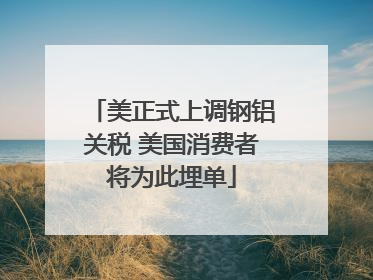 美正式上调钢铝关税 美国消费者将为此埋单