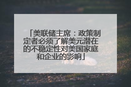 美联储主席：政策制定者必须了解美元潜在的不稳定性对美国家庭和企业的影响