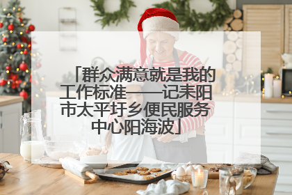 群众满意就是我的工作标准——记耒阳市太平圩乡便民服务中心阳海波
