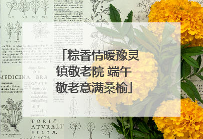 粽香情暖豫灵镇敬老院 端午敬老意满桑榆