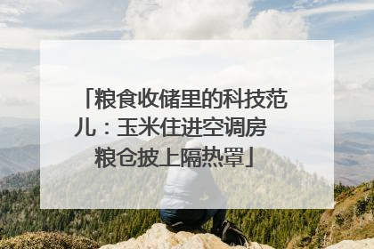 粮食收储里的科技范儿：玉米住进空调房 粮仓披上隔热罩