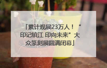 累计观展23万人！“印记镇江 印向未来”大众篆刻展圆满闭幕