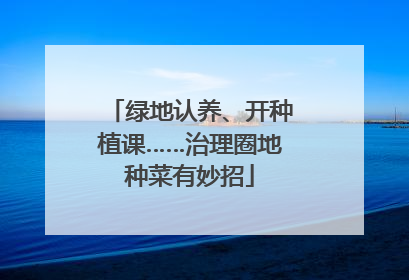 绿地认养、开种植课……治理圈地种菜有妙招