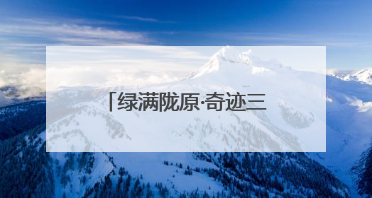 绿满陇原·奇迹三北｜梭梭林里种“黄金” 高台治沙致富很“从容”