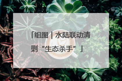 组图｜水陆联动清剿“生态杀手”