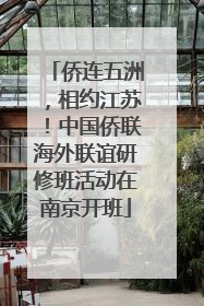 侨连五洲，相约江苏！中国侨联海外联谊研修班活动在南京开班