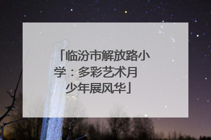 临汾市解放路小学：多彩艺术月 少年展风华