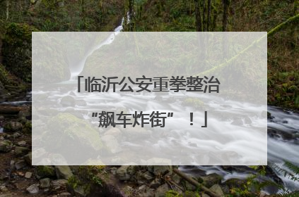 临沂公安重拳整治“飙车炸街”！