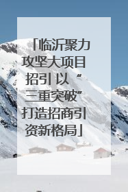 临沂聚力攻坚大项目招引 以“三重突破”打造招商引资新格局