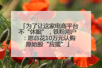 为了让这家电商平台不“休眠”，铁粉用户：愿意花10万元认购原始股“应援”