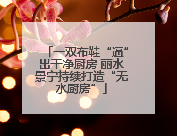 一双布鞋“逼”出干净厨房 丽水景宁持续打造“无水厨房”