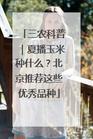 三农科普｜夏播玉米种什么？北京推荐这些优秀品种