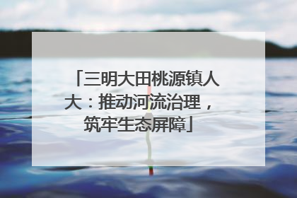 三明大田桃源镇人大：推动河流治理，筑牢生态屏障