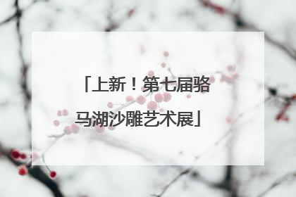 上新！第七届骆马湖沙雕艺术展