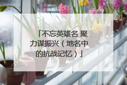 不忘英雄名 聚力谋振兴（地名中的抗战记忆）