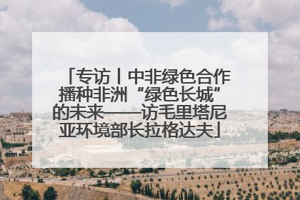 专访丨中非绿色合作播种非洲“绿色长城”的未来——访毛里塔尼亚环境部长拉格达夫