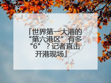 世界第一大港的“第六港区”有多“6”？记者直击开港现场