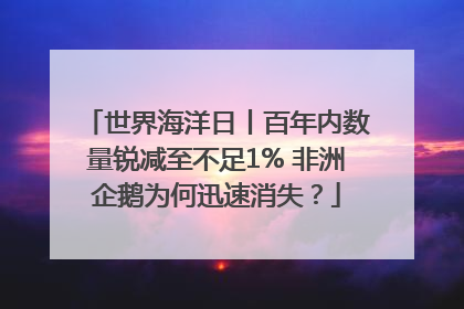 世界海洋日丨百年内数量锐减至不足1% 非洲企鹅为何迅速消失？