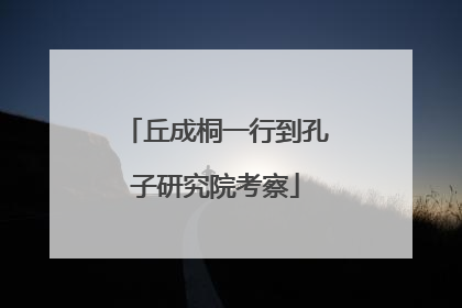 丘成桐一行到孔子研究院考察