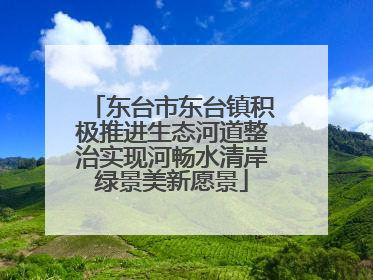 东台市东台镇积极推进生态河道整治实现河畅水清岸绿景美新愿景