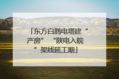 东方白鹳电塔建“产房” “陕电入皖”架线延工期