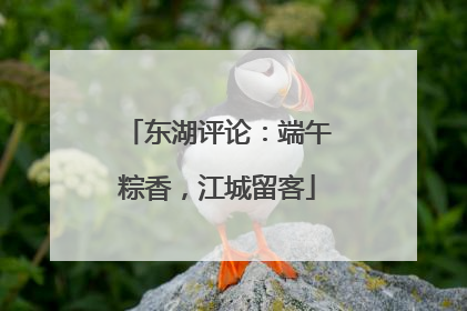 东湖评论：端午粽香，江城留客