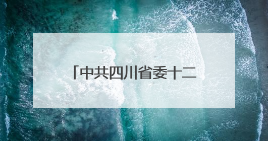 中共四川省委十二届七次全会公报