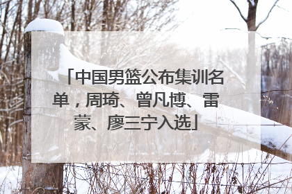 中国男篮公布集训名单，周琦、曾凡博、雷蒙、廖三宁入选