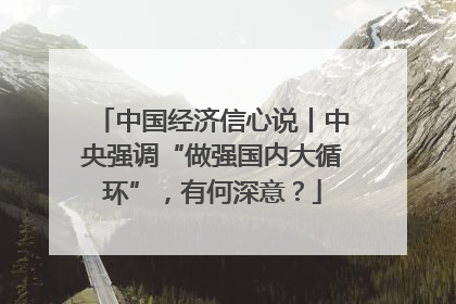 中国经济信心说丨中央强调“做强国内大循环”，有何深意？