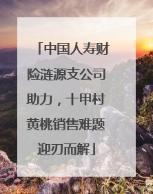 中国人寿财险涟源支公司助力，十甲村黄桃销售难题迎刃而解