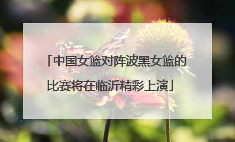 中国女篮对阵波黑女篮的比赛将在临沂精彩上演