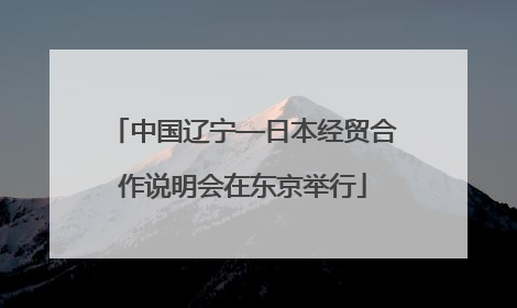 中国辽宁—日本经贸合作说明会在东京举行