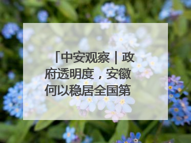 中安观察｜政府透明度，安徽何以稳居全国第一方阵？