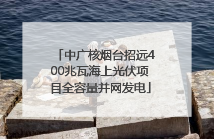 中广核烟台招远400兆瓦海上光伏项目全容量并网发电