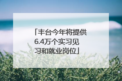 丰台今年将提供6.4万个实习见习和就业岗位
