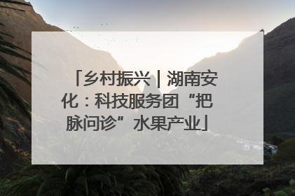 乡村振兴｜湖南安化：科技服务团“把脉问诊”水果产业