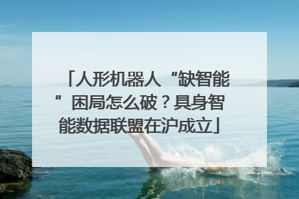 人形机器人“缺智能”困局怎么破？具身智能数据联盟在沪成立