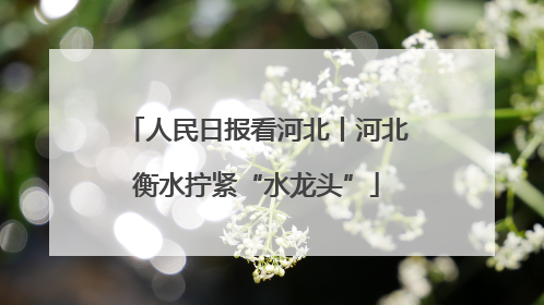 人民日报看河北丨河北衡水拧紧“水龙头”