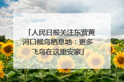 人民日报关注东营黄河口候鸟栖息地：更多飞鸟在这里安家