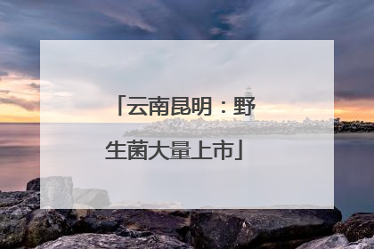 云南昆明：野生菌大量上市