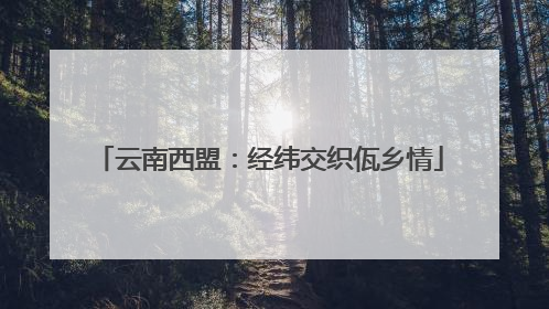 云南西盟：经纬交织佤乡情