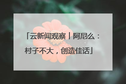 云新闻观察︱阿尼么：村子不大，创造佳话